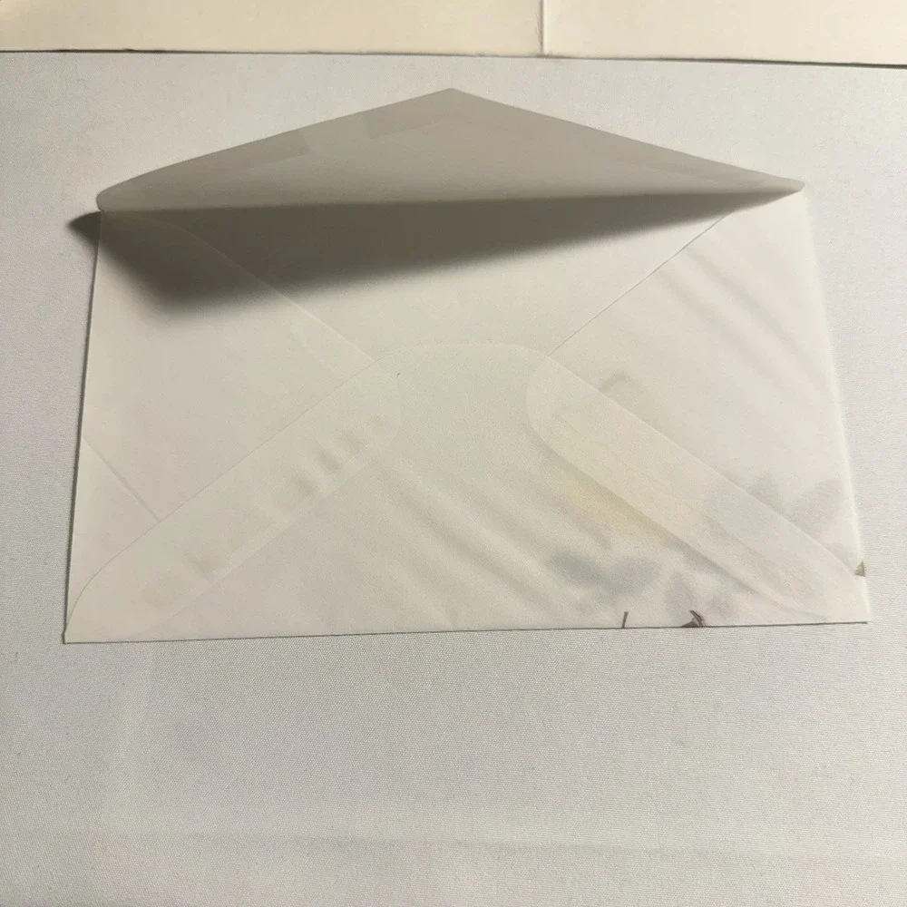 Vintage Current Flowerart Stationery Set Sheer Envelopes w/ Butterfly Floral '85